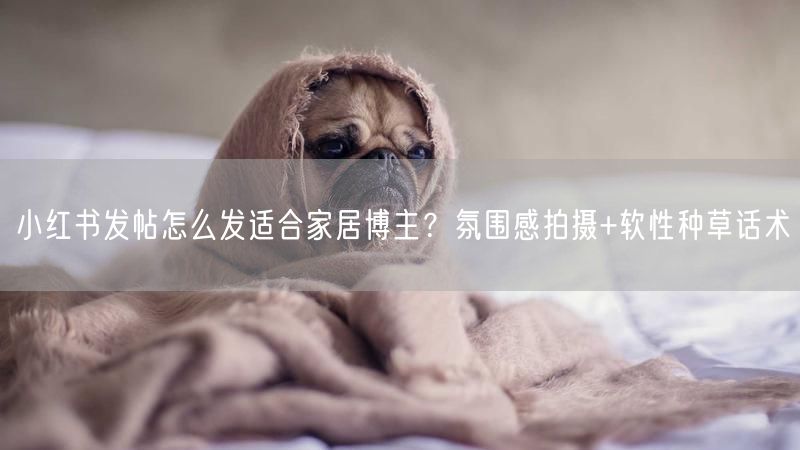 小红书发帖怎么发适合家居博主？氛围感拍摄+软性种草话术