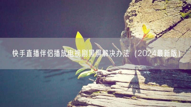 快手直播伴侣播放电视剧黑屏解决办法（2024最新版）