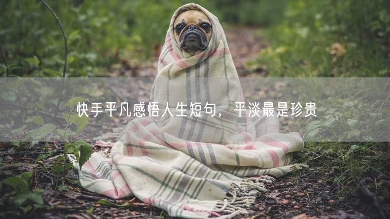 快手平凡感悟人生短句，平淡最是珍贵