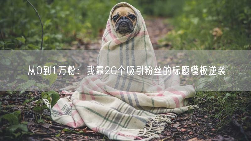 从0到1万粉：我靠20个吸引粉丝的标题模板逆袭