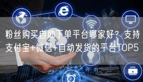 粉丝购买自助下单平台哪家好？支持支付宝+微信+自动发货的平台TOP5