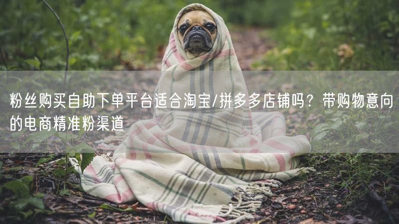 粉丝购买自助下单平台适合淘宝/拼多多店铺吗？带购物意向的电商精准粉渠道