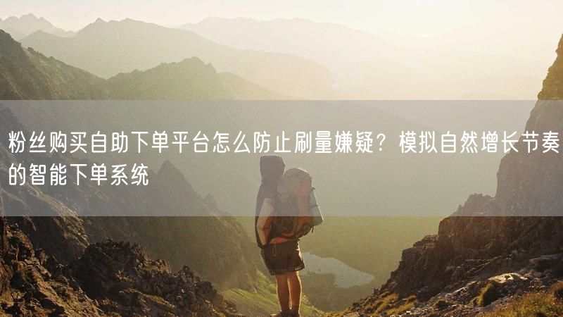 粉丝购买自助下单平台怎么防止刷量嫌疑？模拟自然增长节奏的智能下单系统