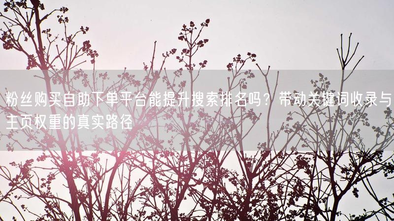 粉丝购买自助下单平台能提升搜索排名吗？带动关键词收录与主页权重的真实路径