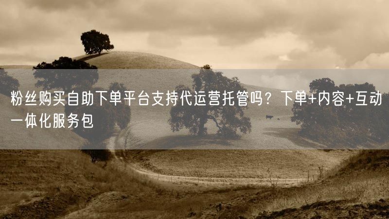 粉丝购买自助下单平台支持代运营托管吗？下单+内容+互动一体化服务包