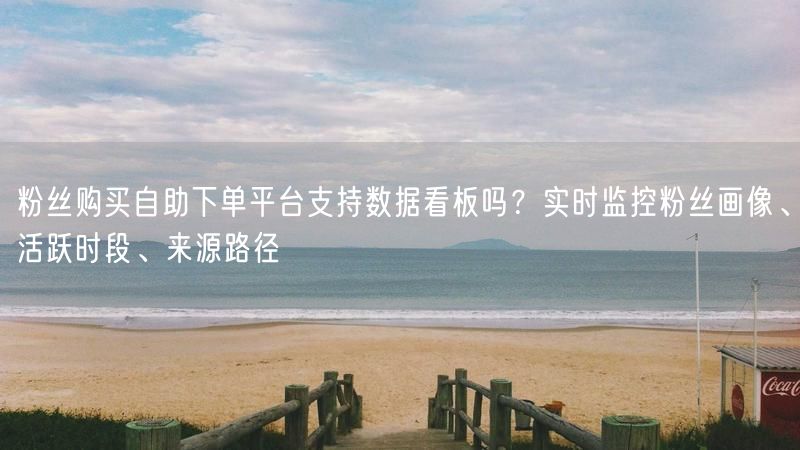 粉丝购买自助下单平台支持数据看板吗？实时监控粉丝画像、活跃时段、来源路径