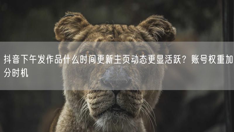 抖音下午发作品什么时间更新主页动态更显活跃？账号权重加分时机