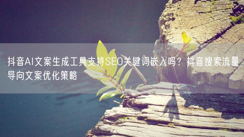 抖音AI文案生成工具支持SEO关键词嵌入吗？抖音搜索流量导向文案优化策略
