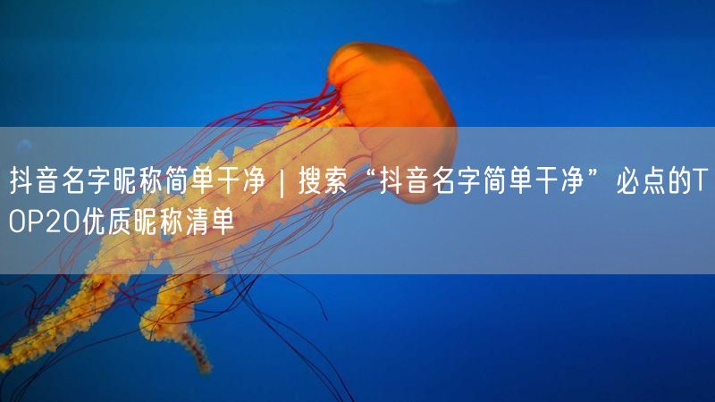 抖音名字昵称简单干净｜搜索“抖音名字简单干净”必点的TOP20优质昵称清单