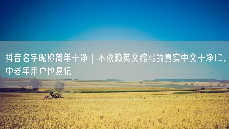 抖音名字昵称简单干净｜不依赖英文缩写的真实中文干净ID，中老年用户也易记