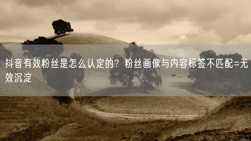 抖音有效粉丝是怎么认定的？粉丝画像与内容标签不匹配=无效沉淀